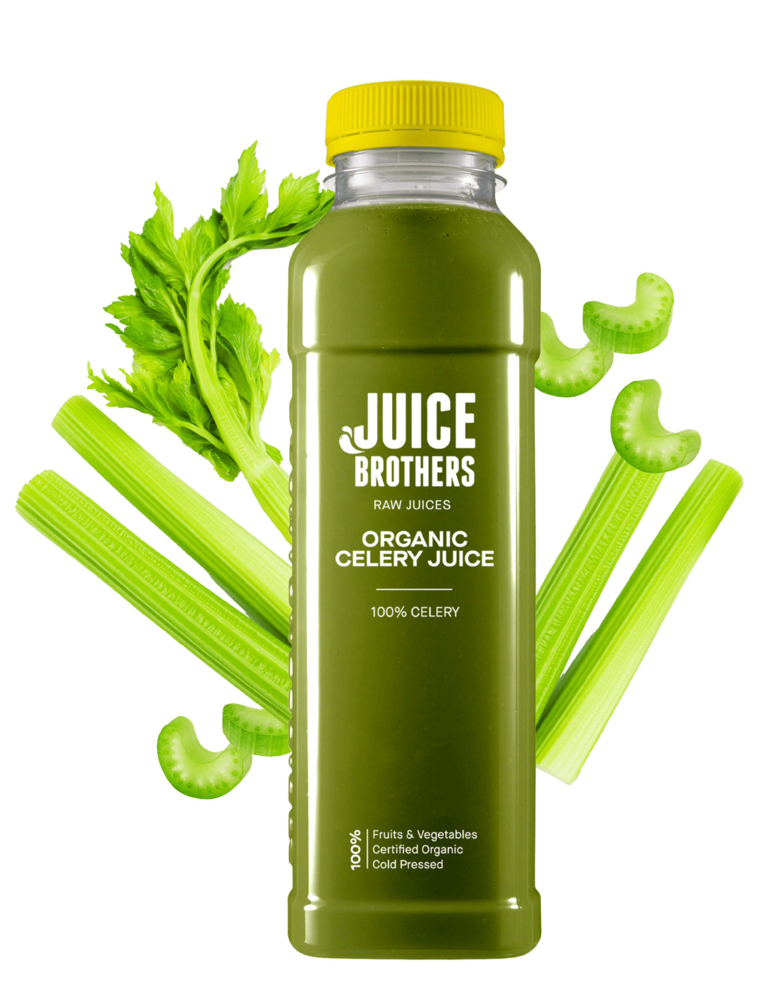 ORGANIC-CELERY-JUICE-JUICEBROTHERS